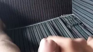 Tante, Sjef, Homo, Indisk