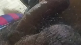 Papi huevos  de Toro