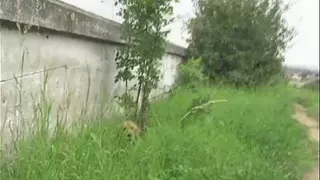 Public Viewing (Full Movie)