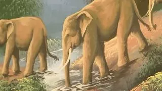 Cheerleaderin fickt schwarzen baseball trainer