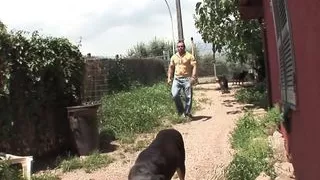 dreier mit zwei transen dicken titten und zuvielen schwaenzen