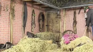 Countryside stories - Episode 1