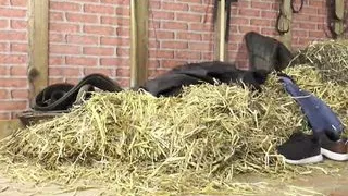 Countryside stories - Episode 2