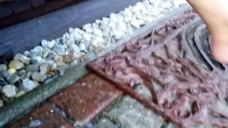 Hot-Pussy66 - Outdoor Pissing