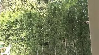 Cassidy has interracial anal sex and sucks cum