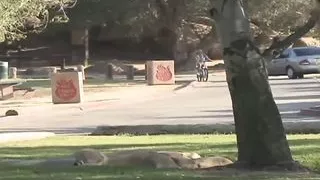 Lesbian Teen Ashley and Scarlett Know How To Enjoy Together