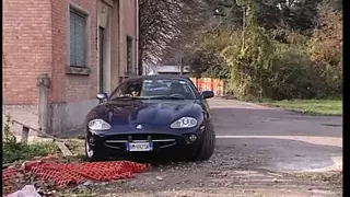 The Big Pig! (Full Movie)