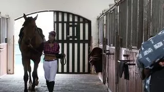 Horse handler has sex with instructor!