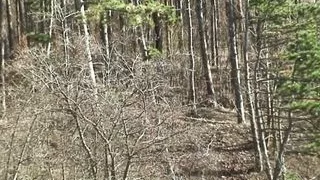 blond bitch has sex in the park!