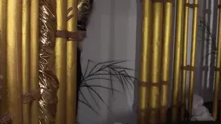 Double Anal Impact!!! - vol. #4 (Full Movie)