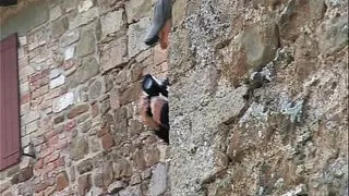 Asha Bliss loves to Fuck!!! - (Full HD Version - Director