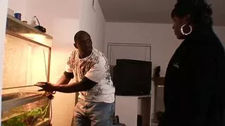 Monica Foster is an ebony girl who sucks and fucks