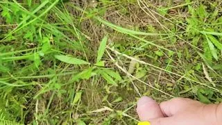 Stepmom holds stepson's cock while he pees in nature