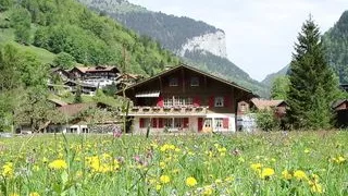 A hot young Asian guy masturbating and edging his cock with an oily cock massage that resulted to a full blast explosion