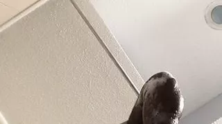 Recording myself playing with my ass