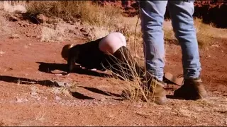 Rebel Rhyder bound for an ass whipping in the desert