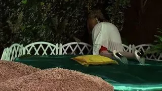 Three sexy lesbians fuck with Paul Chaplin's cumshot cock