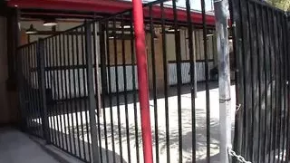 Busty Ebony Rhianna Fucks Big Black Cock