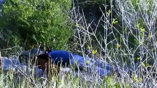 Milf gives deep blowjob and fucks with Terry Reid