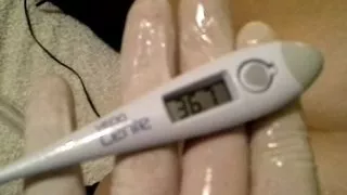 Anal inspection and temperature measurement in the ass