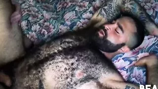 BEARFILMS Hairy Bears Russell Tyler And Atlas Grant Bareback