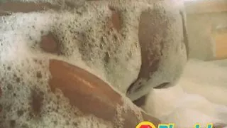 A big cock for two blonde whores with small tits