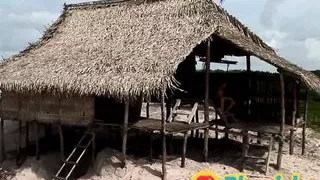 Anal group sex for two brunette sluts with small tits