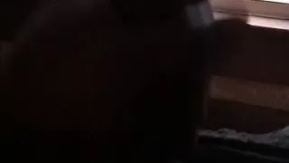 Bbc flashing cum shot