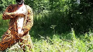 Tiger in forest masturbating with stick