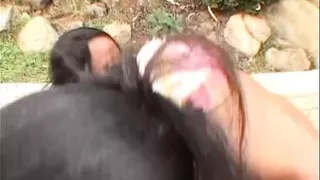 Interracial Anal Threesome