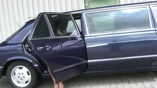 The Limousine of Lust (GANZER FILM)