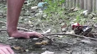 mistresses humiliate slaves