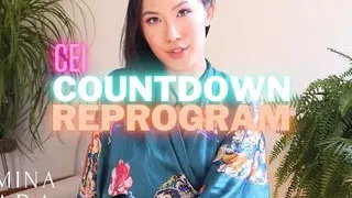 CEI Countdown Reprogram
