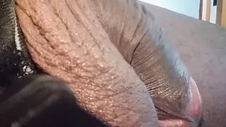 Please Be Silent, Because The Snake Sleeps, If You Wake Her Up, You'll Have To Go Down, Don't Provoke Me, Ok