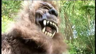 Rocco Bitch Party (Full HD Version - Director special cut)