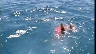 Rocco’s Wild Anal Madness (Full Movie)