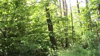 Little Dicky Walks You Through A Crossroads Meditation