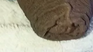 Trying To Be Sensual For You But The Video Was Shit