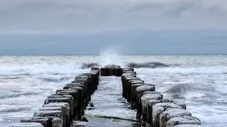 Flashing of hard cock in the classroom while classmates are busy on their classroom activities
