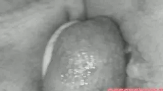 Fucking my wife doggystyle balls deep.