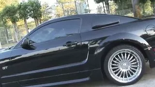 Ebony skinned bbw Isabella fucks black cock