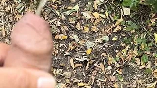 Cruising in the woods make dick hard