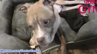 Sfw Non-Nude Bts From Aria Nicole's The Perverted Podiatrist, Explanations And Celebrations, At Girlsgonegyno.Com