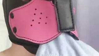 Dipstick taste his pants