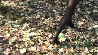 Sexy bitch in the car!