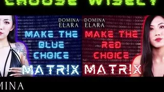 Matr!x - RED Choice Full Clip: dominaelara.com