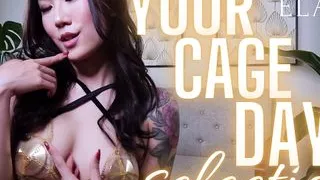 Your Cage Selection Day  Full Clip: dominaelara.com