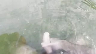 Lake jerking & cum (drk u plicaku)