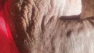 my eggs are full of milk, they are moving by themselves