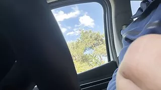 Cruising in the car, stranger jump in and sucked me